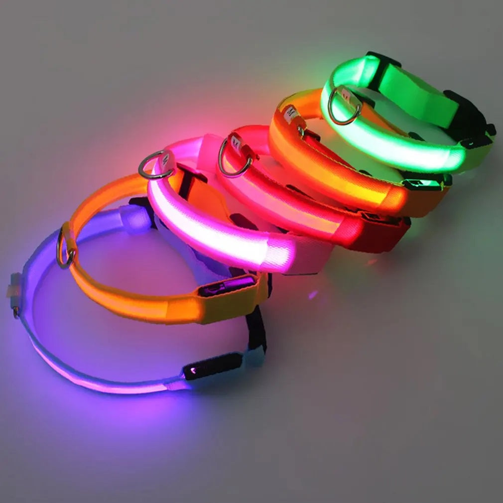 Collar LED para Mascotas