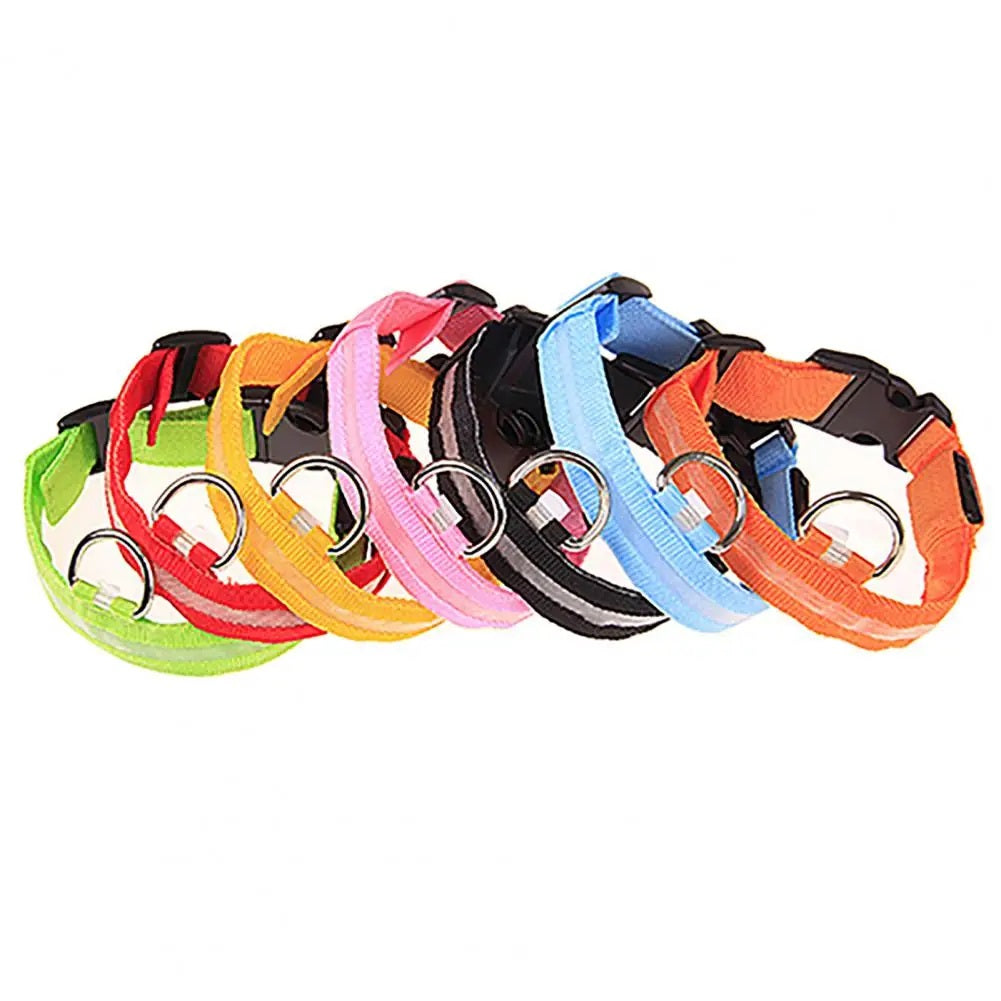 Collar LED para Mascotas